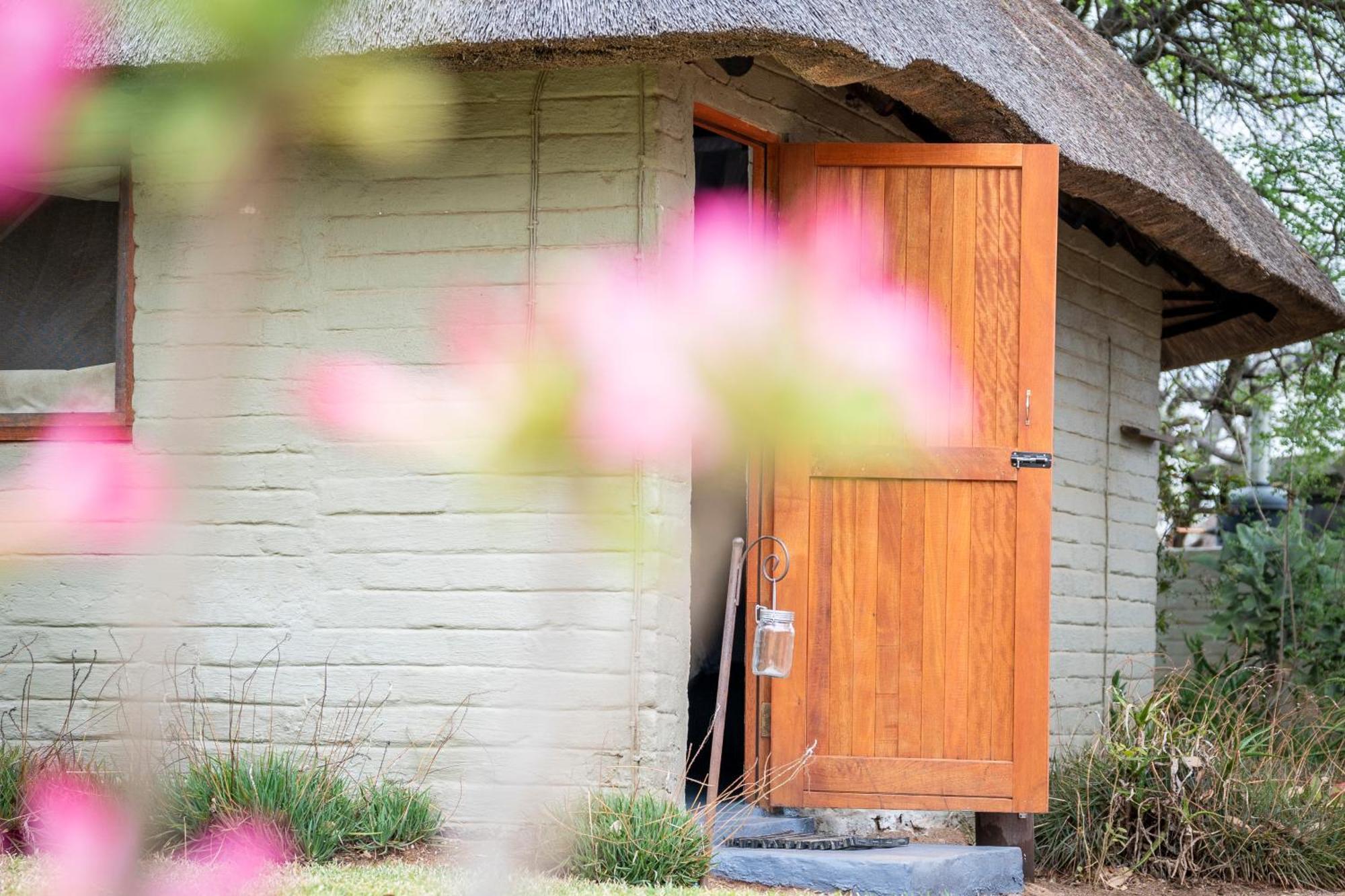 Africa On Foot Villa Klaserie Private Nature Reserve Luaran gambar